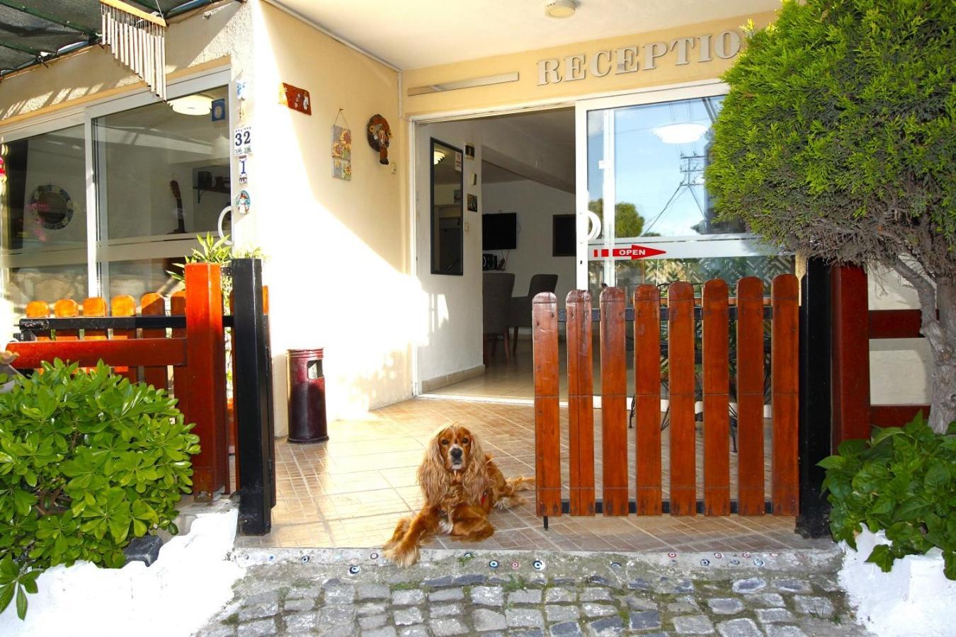 Bonapart Hotel Çeşme Exteriér fotografie